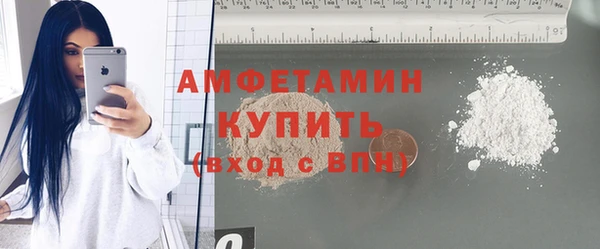 шишки Абаза