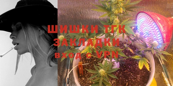 соль курить ск Алзамай