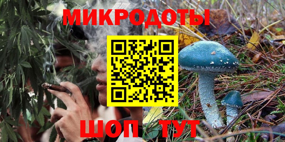 Галлюциногенные грибы Psilocybine cubensis Усть-Илимск