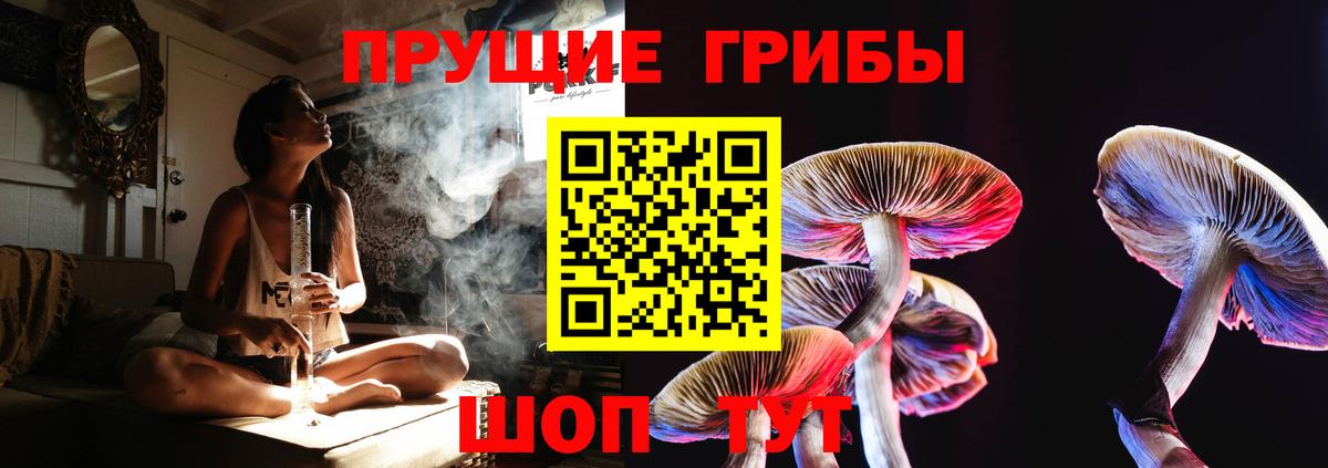 Псилоцибиновые грибы ЛСД  Псилоцибиновые грибы Psilocybe  Вход с VPN  Усть-Илимск 